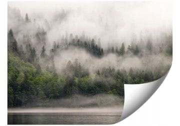 shumee FOTO TAPETE 01-FOREST_WE_FOG ZA SPALNICO DNEVNA SOBA TAPETE 150x105