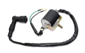 shumee Vžigalna tuljava moped/ATV 2 žici