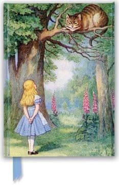 shumee Zvezek A5 linija TW Alica v čudežni deželi in mačka