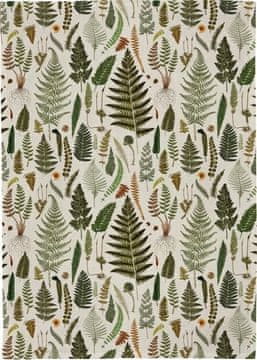 shumee Kuhinjska brisača - Praproti