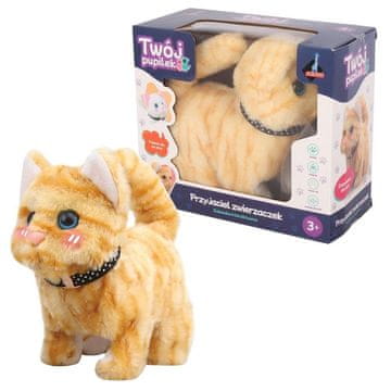 shumee Vaš hišni ljubljenček rjavi mucek