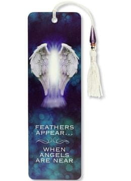 shumee Zaznamek Angeli