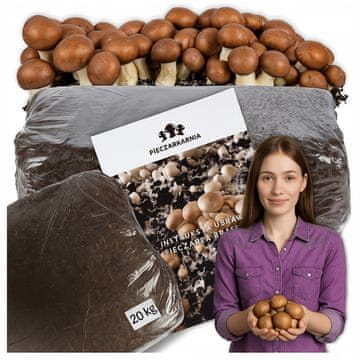 shumee Komplet za gojenje micelija rjavih gob, 20 kg bala, 3-fazni substrat
