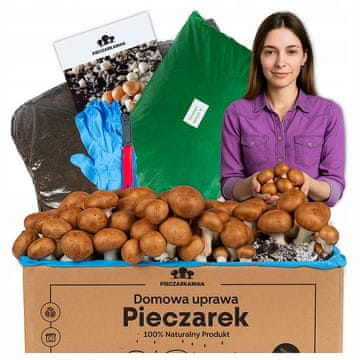 shumee Komplet za gojenje micelija rjavih gob 8 kg Navodila + brezplačno