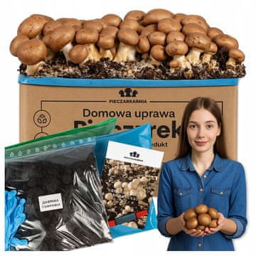 shumee Komplet za gojenje micelija rjavih gob 5 kg za domače gojenje + brezplačno