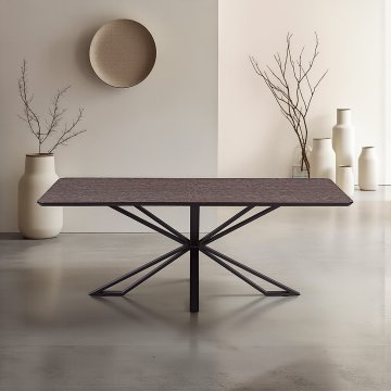 Homestyle4U Jedilna miza, 200x100x76 cm, rjava