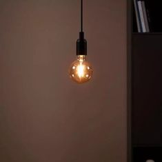 Eglo LED žarnica 780232 E27-LED-G95, 4W, 300 lm, 1700K
