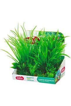 Akvarijske rastline PLANTKIT 1 komplet M Zolux
