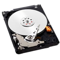 WD BLUE 5000LPZX 500 GB SATA/600 16 MB predpomnilnika, 2,5" AF, 7 mm, CMR