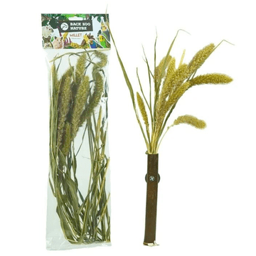 shumee Nazaj Zoo Nature's Foxtail Bouquet | Setaria Grain Bouquet | za vse papige 30 g