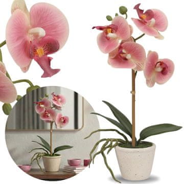 sarcia.eu Umetna orhideja, lososovo obarvana orhideja v loncu, realistična, dekorativna PREMIUM cvetlica 30 cm