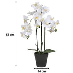 sarcia.eu Bela umetna orhideja, orhideja v loncu, realistična, 3 stebla, velika 62 cm
