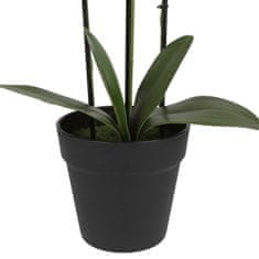 sarcia.eu Bela umetna orhideja, orhideja v loncu, realistična, 3 stebla, velika 62 cm