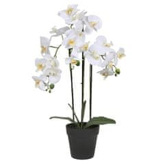 sarcia.eu Bela umetna orhideja, orhideja v loncu, realistična, 3 stebla, velika 62 cm