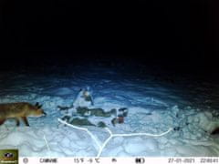 KeepGuard Lovska kamera KG795W in klasični daljnogled FOMEI 7-21x40 ZCF Zoom + 32GB SD kartica in 8 baterij!