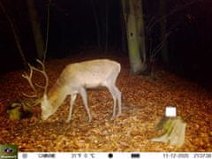 KeepGuard Lovska kamera KG795W in klasični daljnogled FOMEI 7-21x40 ZCF Zoom + 32GB SD kartica in 8 baterij!