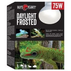 REPTI PLANET Daylight Frosted 75W žarnica