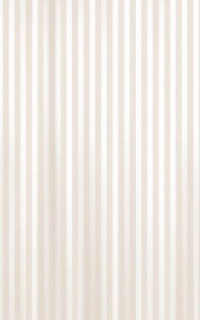 AQUALINE Bež poliesterska tuš zavesa 180x200cm s priloženimi obročki