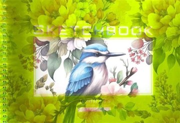 shumee Skicirka A5/40K okrogla gladka Kingfisher FRESH