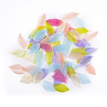 shumee Pastelna gosja peresa 6 cm 5 g