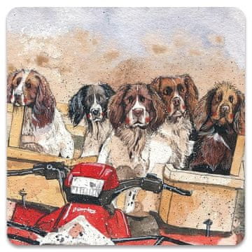 shumee Magnet FM250 Španjel