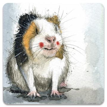 shumee Magnet za morskega prašička FM248