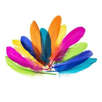 shumee Nenowy gosje perje 15-20 cm