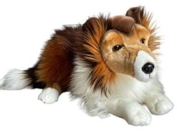 shumee Škotski ovčar 61 cm