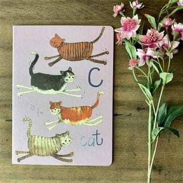 shumee Zvezek B5/40K linija SNL05 Mačke