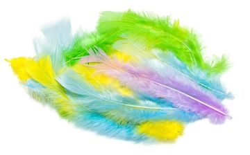 shumee Pastelna pisala 3g