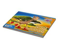 shumee Zvezek A4 s sijajnim barvnim papirjem