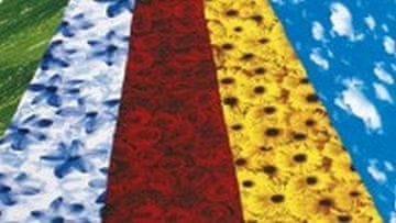 shumee Dekorativni karton 270 g 23 x 33 cm 5 listov