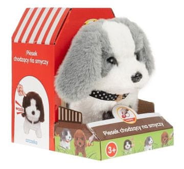 shumee Pes, ki hodi na povodcu