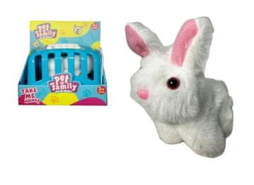 shumee Zajec v nosilki