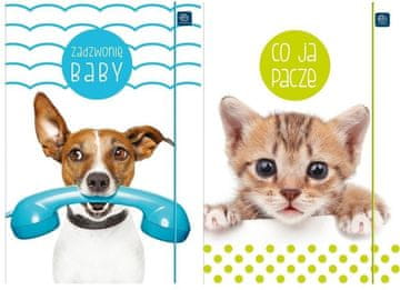 shumee A4+ LUX UV mapa z elastiko za mladičke (10 kosov)