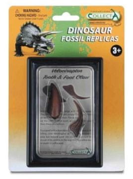 shumee Zob in krempelj spodnjega okončine Velociraptorja