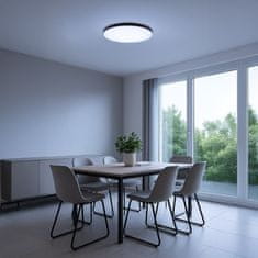 shumee SIENA LED STROPNA SVETILKA ČRNA MILAGRO ML1834