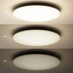 shumee SIENA LED STROPNA SVETILKA ČRNA MILAGRO ML1834