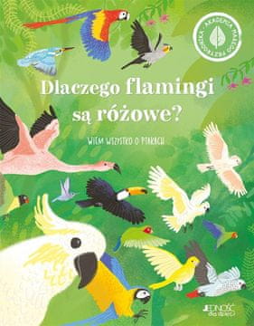 shumee Zakaj so flamingi rožnati? Vem vse o ...
