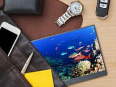 Arzopa Z1FC prenosni monitor 41cm (16,1), FHD, IPS, 144Hz, mHDMI, USB-C, zvočniki, ovitek (Z1FC-GREY)