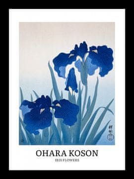 Zakito Posters Plakat 13x18cm Design Iris Flowers, Koson Vintage za Dnevno Sobo