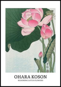 Zakito Posters Plakat 70x100cm Design Lotus, Koson Vintage za Dnevno Sobo