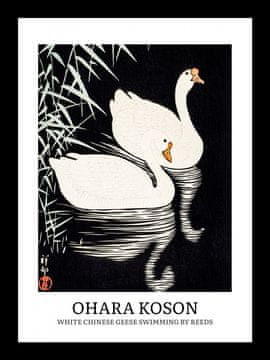 Zakito Posters Plakat 13x18cm Design Geese, Koson Vintage za Dnevno Sobo
