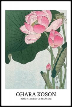 Zakito Posters Plakat 61x91,5cm Design Lotus, Koson Vintage za Dnevno Sobo