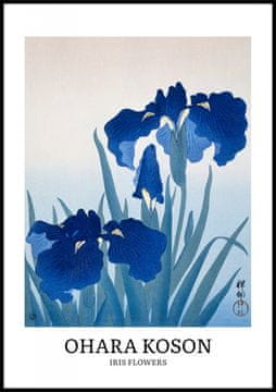 Zakito Posters Plakat 70x100cm Design Iris Flowers, Koson Vintage za Dnevno Sobo