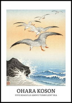 Zakito Posters Plakat 70x100cm Design Pet Galebov, Koson Vintage za Dnevno Sobo