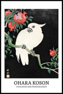 Zakito Posters Plakat 61x91,5cm Design Cockatoo, Koson Vintage za Dnevno Sobo
