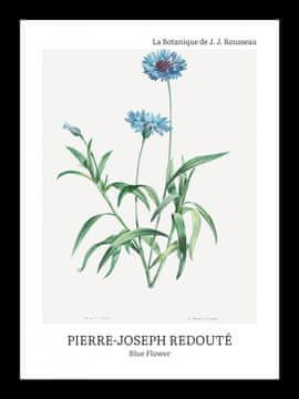 Zakito Posters Plakat 13x18cm Oblikovanje Modri Cvet, Redoute Vintage za Dnevno Sobo