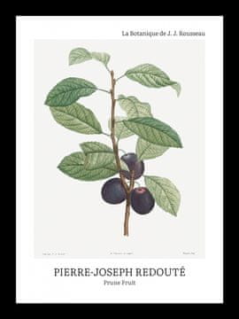 Zakito Posters Plakat 13x18cm Design Sliva, Redoute Vintage za Dnevno Sobo