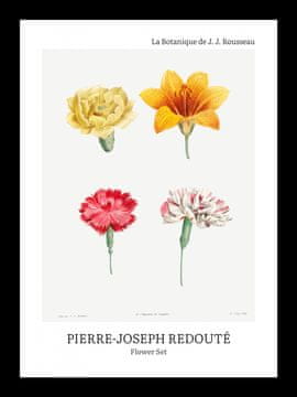 Zakito Posters Plakat 13x18cm Design Flower Set, Redoute Vintage za Dnevno Sobo